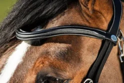 Hot Bridon anatomique Techno Bridons Et Brides·Bridon Anatomique|Bridons Et Brides·Bridon Cuir