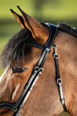 Hot Bridon anatomique Techno Bridons Et Brides·Bridon Anatomique|Bridons Et Brides·Bridon Cuir