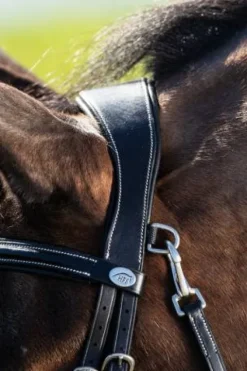 Hot Bridon anatomique Techno Bridons Et Brides·Bridon Anatomique|Bridons Et Brides·Bridon Cuir