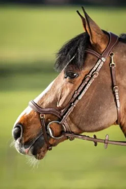 Hot Bridon anatomique Techno Bridons Et Brides·Bridon Anatomique|Bridons Et Brides·Bridon Cuir