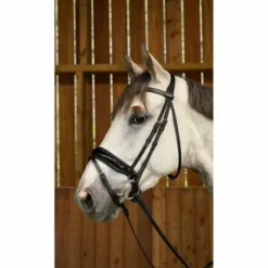 Hot Bridon avec muserolle combinée large et vernie  Working Collection - Dy'on Bridons Et Brides·Bridon Anatomique|Bridons Et Brides·Bridon Cuir