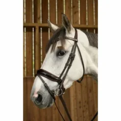 Hot Bridon avec muserolle combinée large et vernie  Working Collection - Dy'on Bridons Et Brides·Bridon Anatomique|Bridons Et Brides·Bridon Cuir