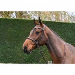 Outlet Bridon Bitless - Collection One - Jump'in Bridons Et Brides·Bridon Licol|Bridons Et Brides·Filet Sans Mors