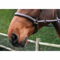 Outlet Bridon Bitless - Collection One - Jump'in Bridons Et Brides·Bridon Licol|Bridons Et Brides·Filet Sans Mors