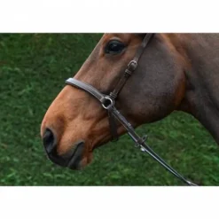 Outlet Bridon Bitless - Collection One - Jump'in Bridons Et Brides·Bridon Licol|Bridons Et Brides·Filet Sans Mors