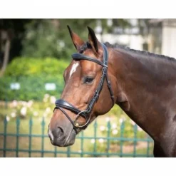 Best Bridon Bruxelles - Collection One - Jump'in Bridons Et Brides·Bridon Licol|Bridons Et Brides·Bridon Cuir