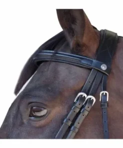 Discount Bridon euro pull back Bridons Et Brides·Bridon Cuir