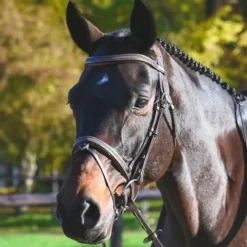 Online Bridon Carat - Collection One Premium - Jump'in Bridons Et Brides·Bridon Licol|Bridons Et Brides·Bridon Cuir