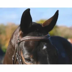 Online Bridon Carat - Collection One Premium - Jump'in Bridons Et Brides·Bridon Licol|Bridons Et Brides·Bridon Cuir