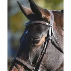 Online Bridon Carat - Collection One Premium - Jump'in Bridons Et Brides·Bridon Licol|Bridons Et Brides·Bridon Cuir