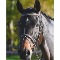 Online Bridon Carat - Collection One Premium - Jump'in Bridons Et Brides·Bridon Licol|Bridons Et Brides·Bridon Cuir