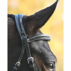 Online Bridon Carat - Collection One Premium - Jump'in Bridons Et Brides·Bridon Licol|Bridons Et Brides·Bridon Cuir