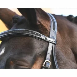 Online Bridon Carat - Collection One Premium - Jump'in Bridons Et Brides·Bridon Licol|Bridons Et Brides·Bridon Cuir
