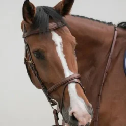 Clearance Bridon classique - - Confort et stabilité Bridons Et Brides·Bridon Cuir