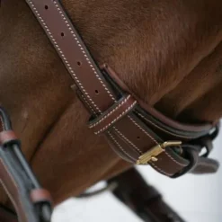 Clearance Bridon classique - - Confort et stabilité Bridons Et Brides·Bridon Cuir