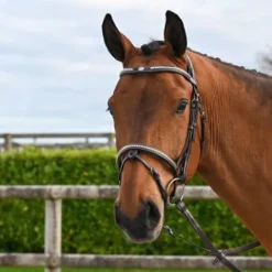 Best Bridon Clincher - Collection One Premium - Bridons Et Brides·Bridon Cuir