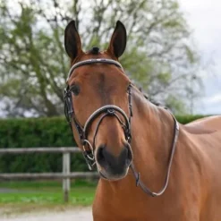 Best Bridon Clincher - Collection One Premium - Bridons Et Brides·Bridon Cuir
