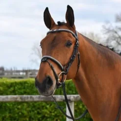 Best Bridon Clincher - Collection One Premium - Bridons Et Brides·Bridon Cuir
