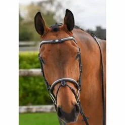 Best Bridon Clincher - Collection One Premium - Bridons Et Brides·Bridon Cuir