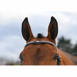 Best Bridon Clincher - Collection One Premium - Bridons Et Brides·Bridon Cuir