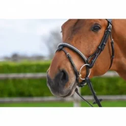 Best Bridon Clincher - Collection One Premium - Bridons Et Brides·Bridon Cuir