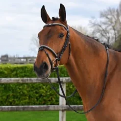 Best Bridon Clincher - Collection One Premium - Bridons Et Brides·Bridon Cuir