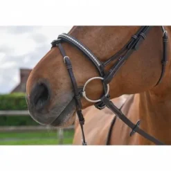 Best Bridon Clincher - Collection One Premium - Bridons Et Brides·Bridon Cuir