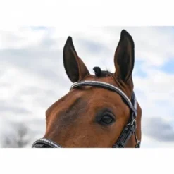 Best Bridon Clincher - Collection One Premium - Bridons Et Brides·Bridon Cuir