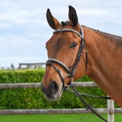 Best Bridon Clincher - Collection One Premium - Bridons Et Brides·Bridon Cuir