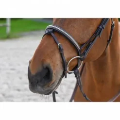Best Bridon Clincher - Collection One Premium - Bridons Et Brides·Bridon Cuir