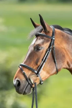 Discount Bridon Comfort Bridons Et Brides·Bridon Cuir