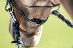 Discount Bridon Comfort Bridons Et Brides·Bridon Cuir