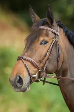 Discount Bridon Comfort Bridons Et Brides·Bridon Cuir