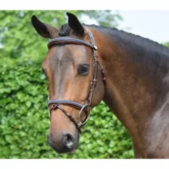 Discount Bridon Crystal de la Collection Week - Jump'In Bridons Et Brides·Bridon Cuir