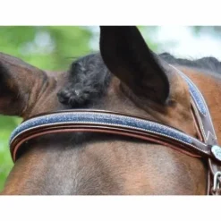 Discount Bridon Crystal de la Collection Week - Jump'In Bridons Et Brides·Bridon Cuir