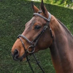 Bridon Crystal muserolle combinée - Collection week - Bridons Et Brides·Bridon Cuir