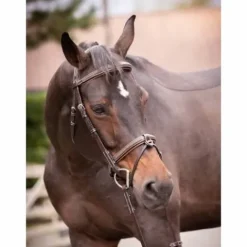 Bridon Crystal muserolle combinée - Collection week - Bridons Et Brides·Bridon Cuir