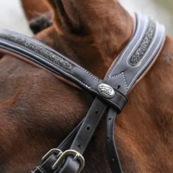 Bridon Crystal muserolle combinée - Collection week - Bridons Et Brides·Bridon Cuir