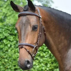 Bridon Crystal muserolle combinée - Collection week - Bridons Et Brides·Bridon Cuir