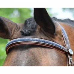 Bridon Crystal muserolle combinée - Collection week - Bridons Et Brides·Bridon Cuir