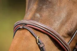 Clearance Bridon cuir Comfort Bridons Et Brides·Bridon Cuir