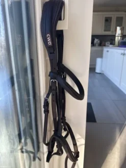 Best Bridon CWD Bridons Et Brides·Bridon Cuir