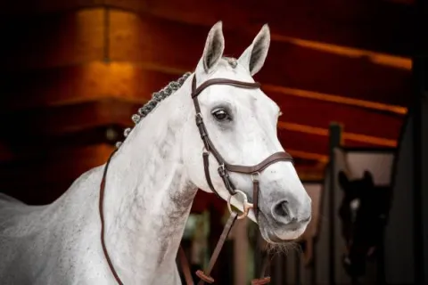 New Bridon de compétition micklem2 - - pour petit cheval Bridons Et Brides·Bridon Cuir
