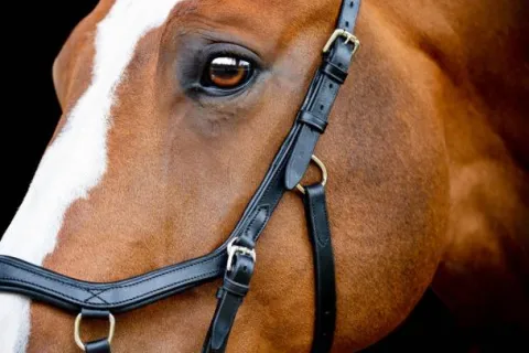 New Bridon de compétition micklem2 - - pour petit cheval Bridons Et Brides·Bridon Cuir