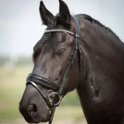 Sale Bridon Diamond Lacque - Harry's Horse Bridons Et Brides·Bridon Cuir