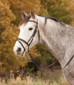 Bridon diamond star Bridons Et Brides·Bridon Cuir