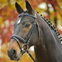 Bridon diamond star Bridons Et Brides·Bridon Cuir