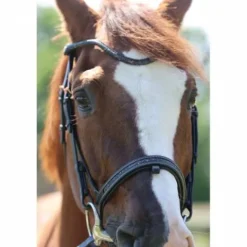 Best Bridon Disco - - Galon noir Bridons Et Brides·Bridon Licol|Bridons Et Brides·Bridon Cuir