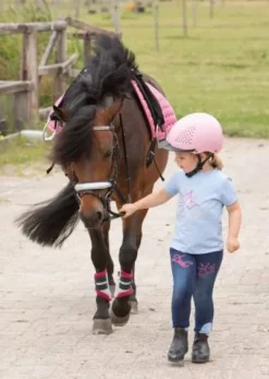 Hot Bridon diva stella Harry's horse Bridons Et Brides·Bridon Cuir