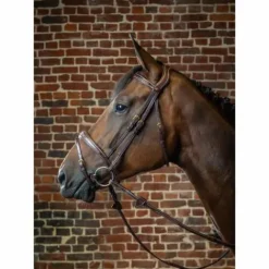 Clearance Bridon Dy'on collection muserolle et frontal anatomique Bridons Et Brides·Bridon Anatomique|Bridons Et Brides·Bridon Cuir